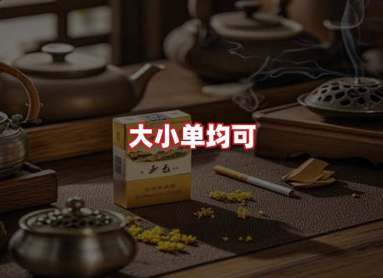 专业团队